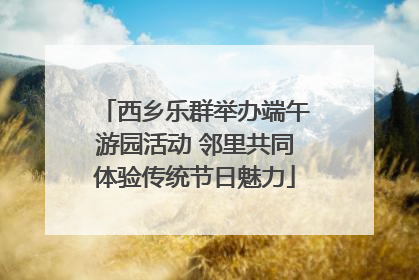 西乡乐群举办端午游园活动 邻里共同体验传统节日魅力