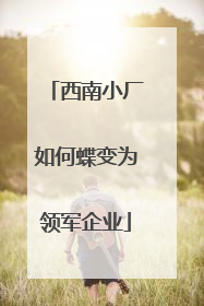 西南小厂如何蝶变为领军企业