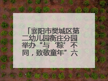 襄阳市樊城区第二幼儿园衡庄分园举办“与‘粽’不同，致敬童年”六一文艺汇演