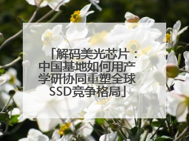 解码美光芯片：中国基地如何用产学研协同重塑全球SSD竞争格局
