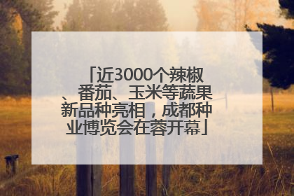 近3000个辣椒、番茄、玉米等蔬果新品种亮相，成都种业博览会在蓉开幕