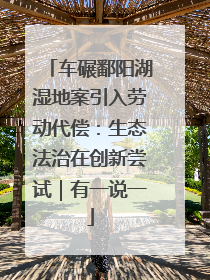 车碾鄱阳湖湿地案引入劳动代偿：生态法治在创新尝试｜有一说一