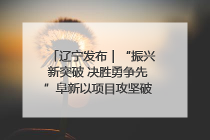 辽宁发布｜“振兴新突破 决胜勇争先”阜新以项目攻坚破解发展瓶颈 经济发展实现良好开局