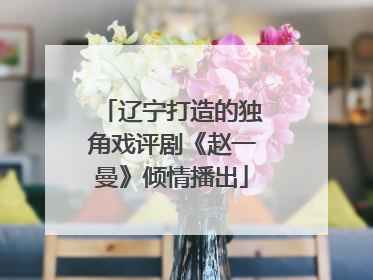 辽宁打造的独角戏评剧《赵一曼》倾情播出