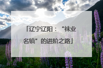 辽宁辽阳：“袜业名镇”的进阶之路