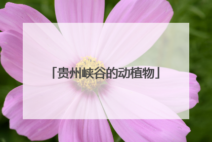 贵州峡谷的动植物