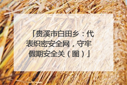 贵溪市白田乡：代表织密安全网，守牢假期安全关（图）