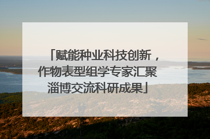 赋能种业科技创新，作物表型组学专家汇聚淄博交流科研成果
