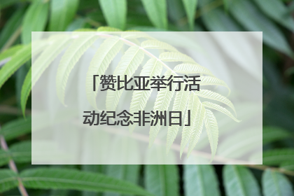 赞比亚举行活动纪念非洲日