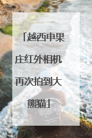 越西申果庄红外相机再次拍到大熊猫