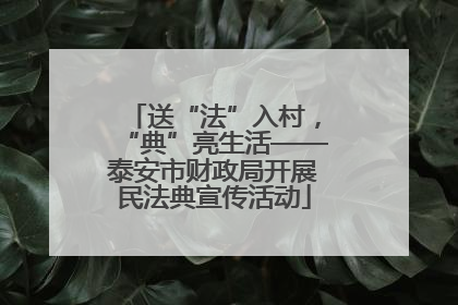 送“法”入村，“典”亮生活——泰安市财政局开展民法典宣传活动