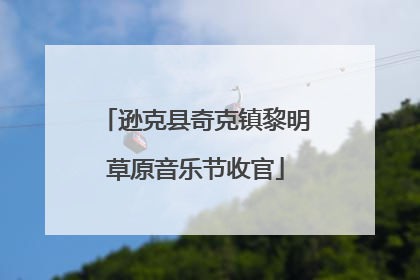 逊克县奇克镇黎明草原音乐节收官