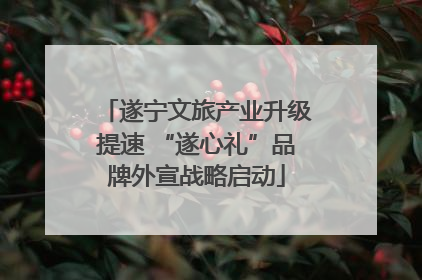遂宁文旅产业升级提速 “遂心礼”品牌外宣战略启动
