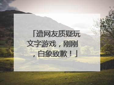 遭网友质疑玩文字游戏，刚刚，白象致歉！