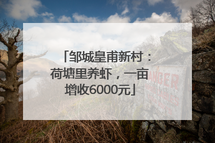 邹城皇甫新村：荷塘里养虾，一亩增收6000元