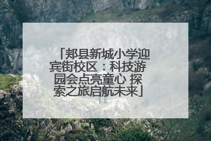 郏县新城小学迎宾街校区：科技游园会点亮童心 探索之旅启航未来