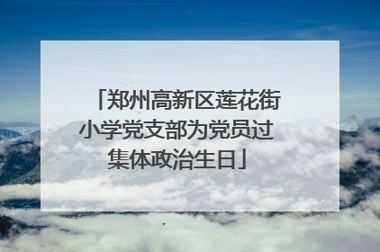 郑州高新区莲花街小学党支部为党员过集体政治生日