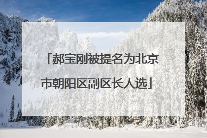 郝宝刚被提名为北京市朝阳区副区长人选