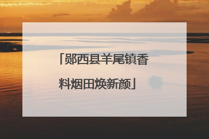 郧西县羊尾镇香料烟田焕新颜