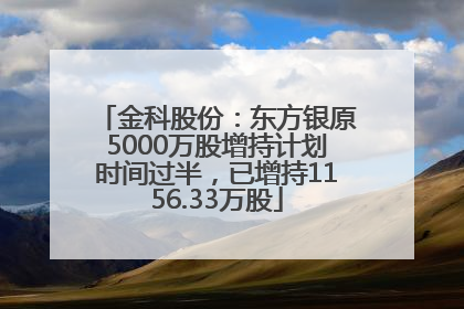 金科股份：东方银原5000万股增持计划时间过半，已增持1156.33万股