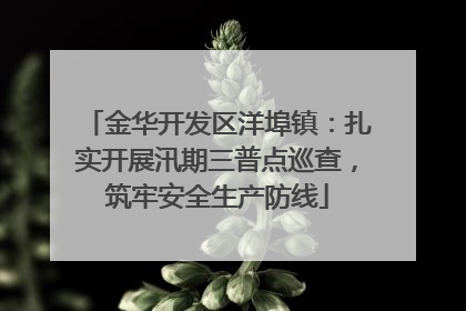 金华开发区洋埠镇：扎实开展汛期三普点巡查，筑牢安全生产防线