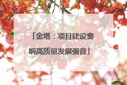 金塔：项目建设奏响高质量发展强音
