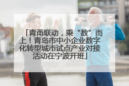 青甬联动，乘“数”而上！青岛市中小企业数字化转型城市试点产业对接活动在宁波开班