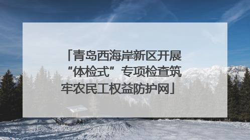 青岛西海岸新区开展“体检式”专项检查筑牢农民工权益防护网