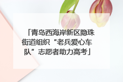 青岛西海岸新区隐珠街道组织“老兵爱心车队”志愿者助力高考