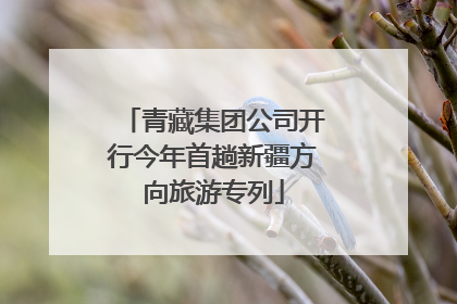 青藏集团公司开行今年首趟新疆方向旅游专列