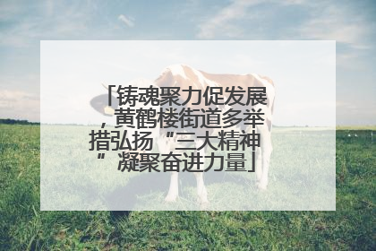 铸魂聚力促发展，黄鹤楼街道多举措弘扬“三大精神”凝聚奋进力量