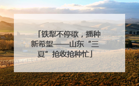 铁犁不停歇，播种新希望——山东“三夏”抢收抢种忙