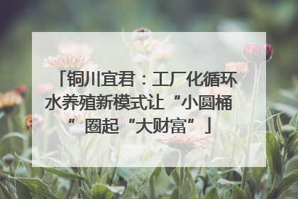铜川宜君：工厂化循环水养殖新模式让“小圆桶”圈起“大财富”