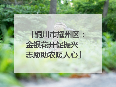 铜川市耀州区：金银花开促振兴 志愿助农暖人心
