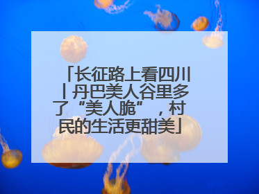 长征路上看四川丨丹巴美人谷里多了“美人脆”，村民的生活更甜美