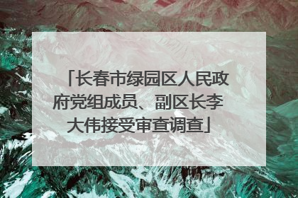 长春市绿园区人民政府党组成员、副区长李大伟接受审查调查
