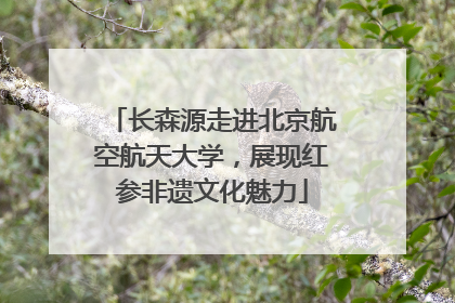 长森源走进北京航空航天大学，展现红参非遗文化魅力