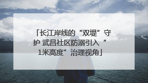 长江岸线的“双堤”守护 武昌社区防溺引入“1米高度”治理视角