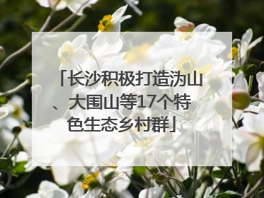 长沙积极打造沩山、大围山等17个特色生态乡村群