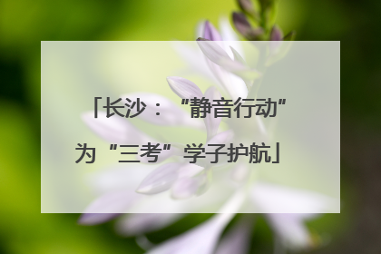 长沙：“静音行动”为“三考”学子护航