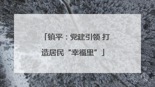 镇平：党建引领 打造居民“幸福里”