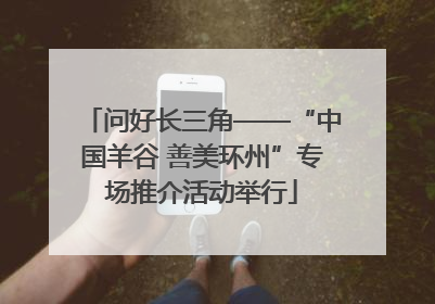 问好长三角——“中国羊谷 善美环州”专场推介活动举行