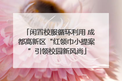 闲置校服循环利用 成都高新区“红领巾小提案”引领校园新风尚