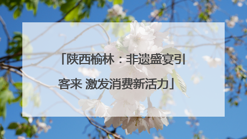 陕西榆林：非遗盛宴引客来 激发消费新活力