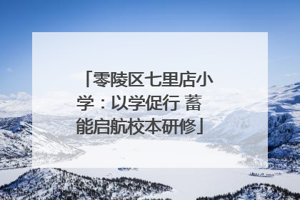 零陵区七里店小学：以学促行 蓄能启航校本研修
