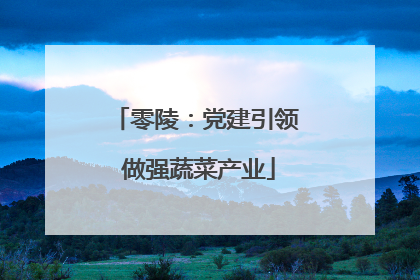 零陵：党建引领 做强蔬菜产业