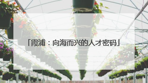 霞浦：向海而兴的人才密码