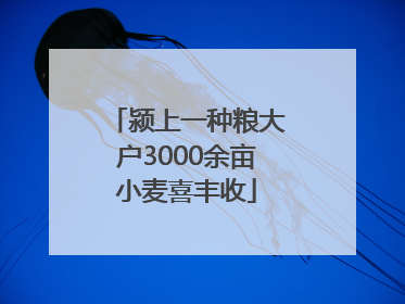 颍上一种粮大户3000余亩小麦喜丰收