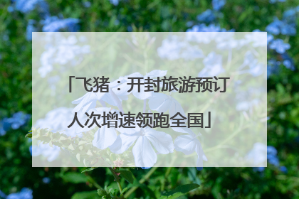 飞猪：开封旅游预订人次增速领跑全国