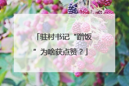 驻村书记“蹭饭”为啥获点赞？